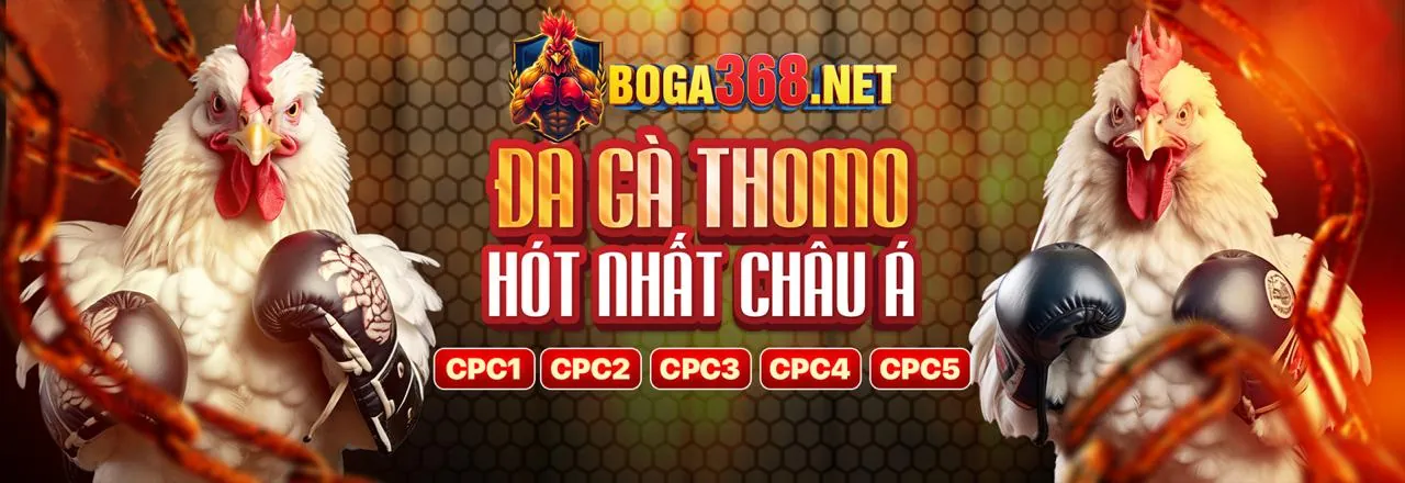 Tin tức mới nhất từ 88clup bet